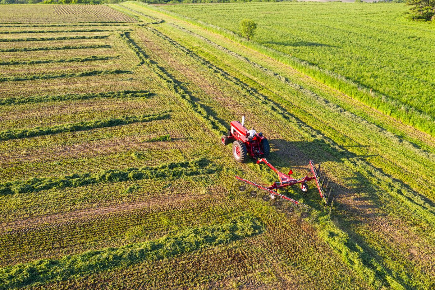 Aerial farmland