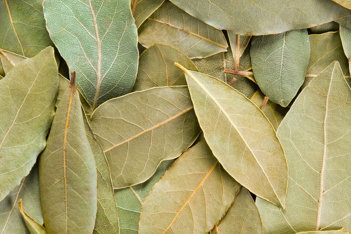 Bay Leaves