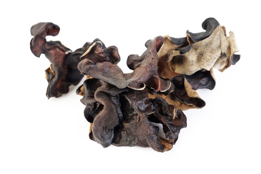 Dried Black Fungus