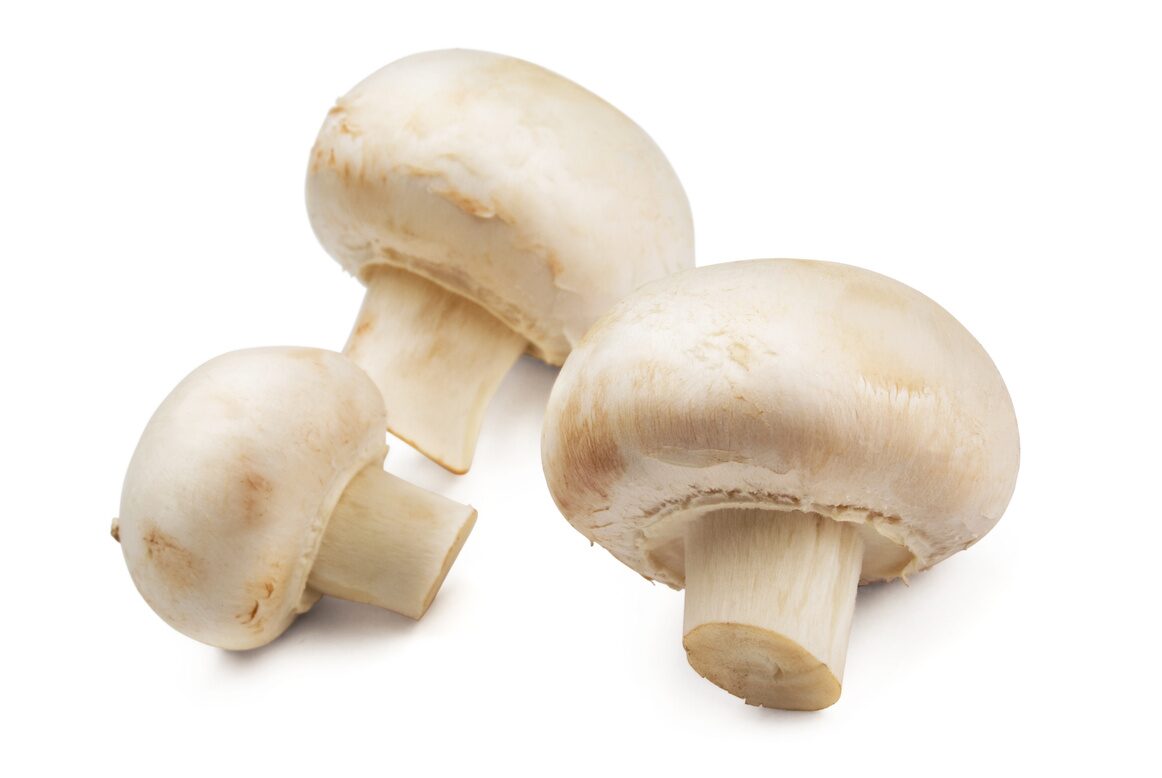 Button Mushrooms