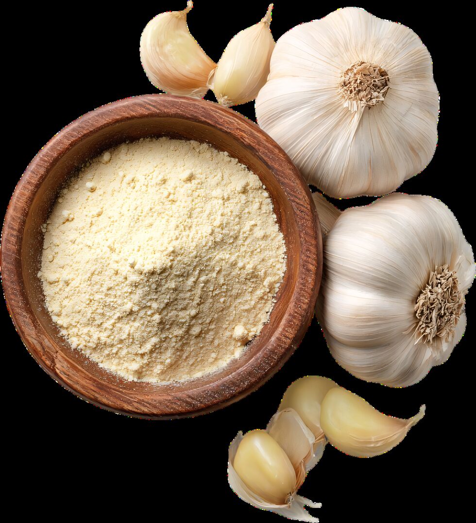 Garlic