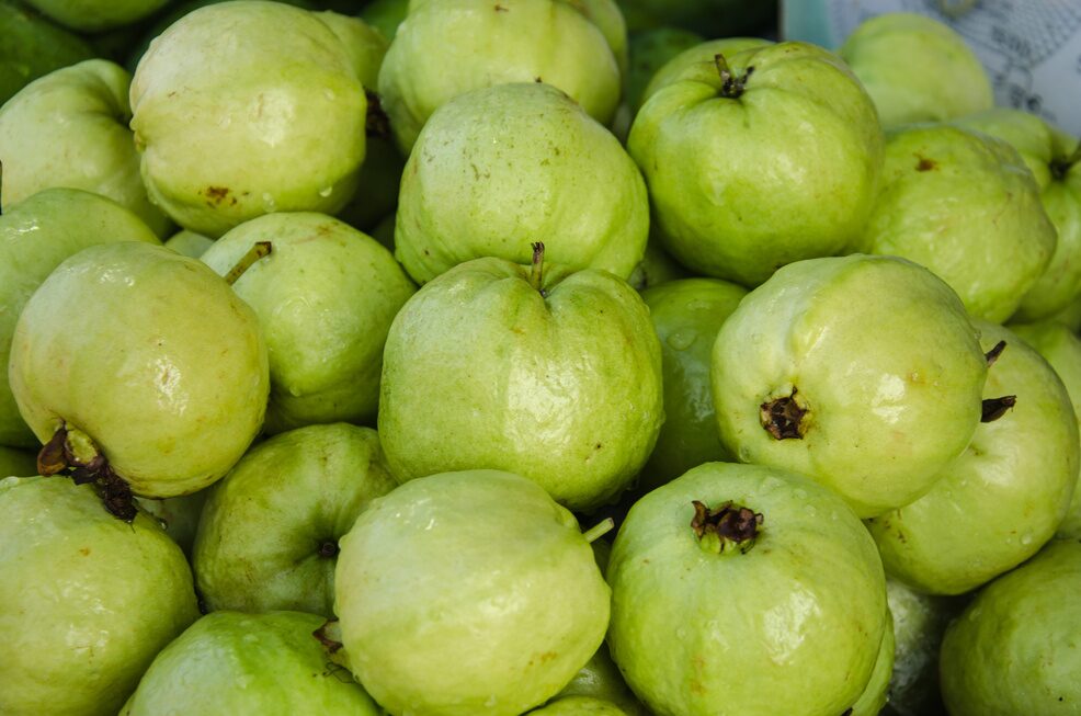Guava