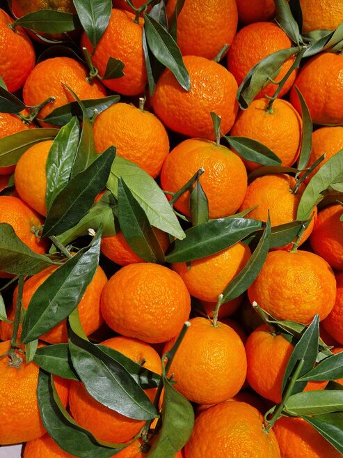 Khasi Mandarin
