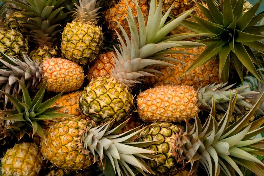 Pineapple harvest