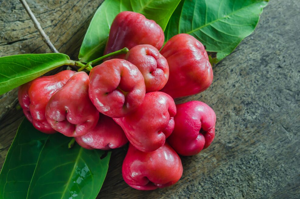 Red Rose Apple