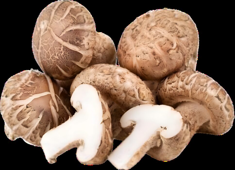 Shiitake Mushrooms