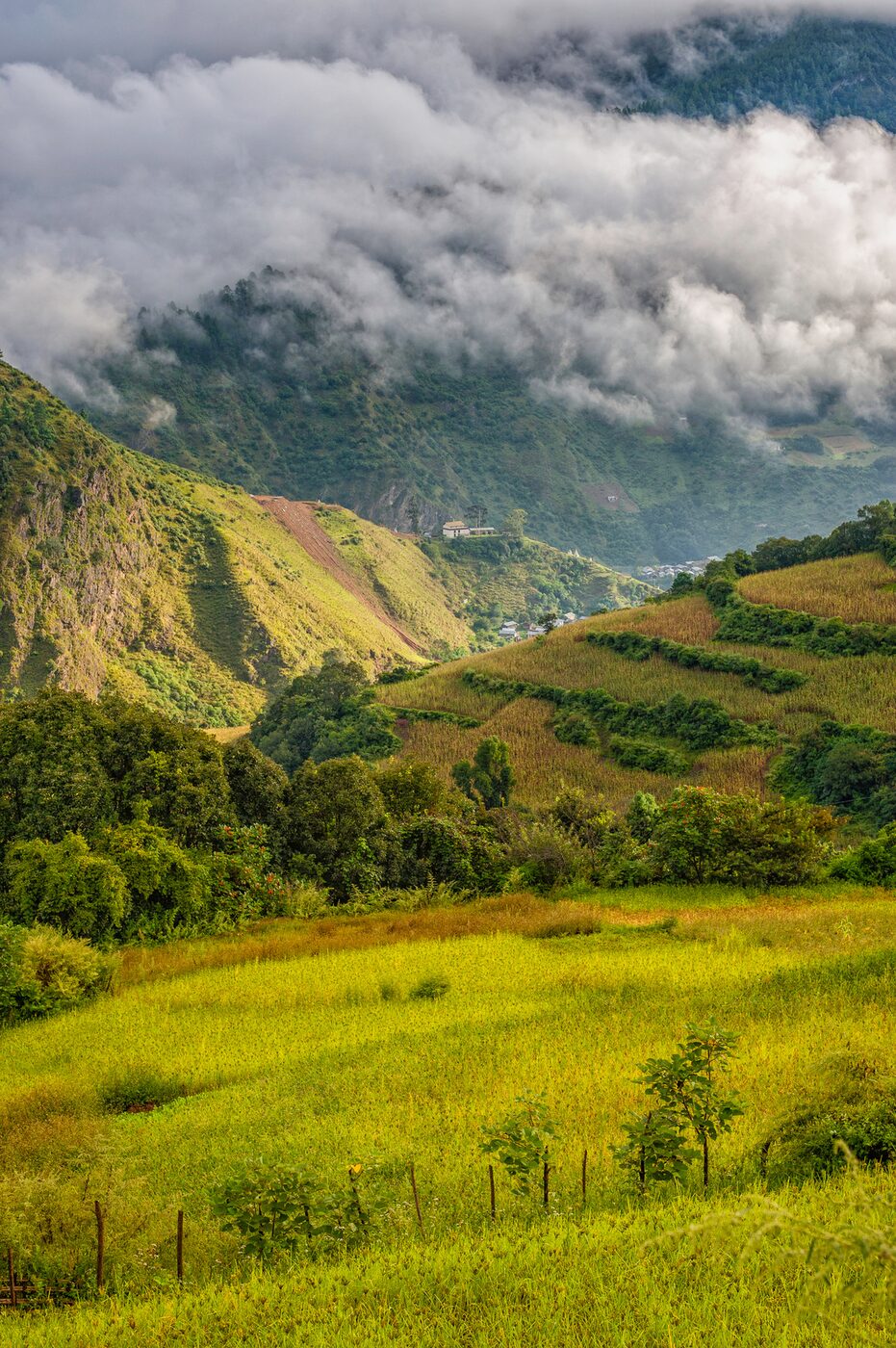 Himalayan sourcing region
